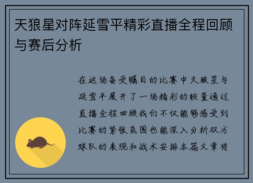 天狼星对阵延雪平精彩直播全程回顾与赛后分析