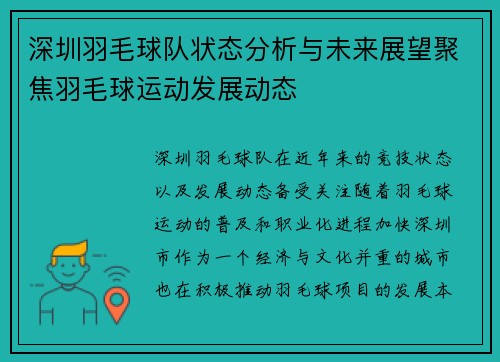 深圳羽毛球队状态分析与未来展望聚焦羽毛球运动发展动态