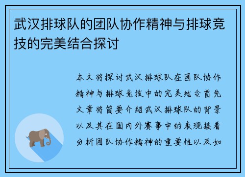 武汉排球队的团队协作精神与排球竞技的完美结合探讨