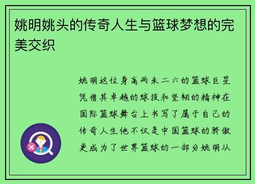 姚明姚头的传奇人生与篮球梦想的完美交织