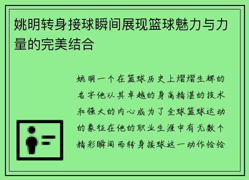 姚明转身接球瞬间展现篮球魅力与力量的完美结合