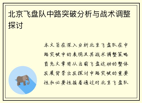 北京飞盘队中路突破分析与战术调整探讨