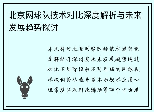 北京网球队技术对比深度解析与未来发展趋势探讨