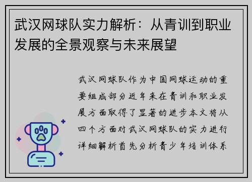 武汉网球队实力解析：从青训到职业发展的全景观察与未来展望