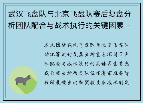 武汉飞盘队与北京飞盘队赛后复盘分析团队配合与战术执行的关键因素 - 副本